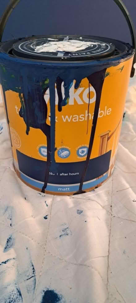 Photo of Wilko after hours paint (Horsham RH13) #1