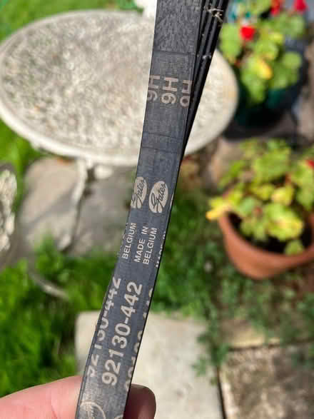 Photo of free New washing machine belt (Maresfield Park TN22) #1