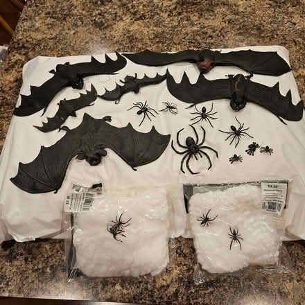 Photo of free Halloween bats & spiders (West side) #1