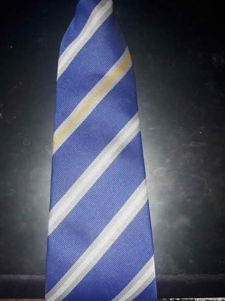 Photo of free The Vyne School Tie (Yellow House) (Popley RG24) #1