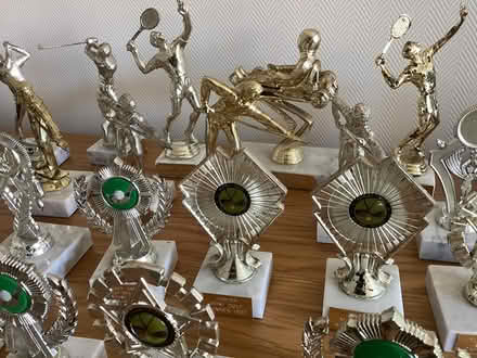 Photo of free 33 sporting trophies (RH10 Pound Hill) #3