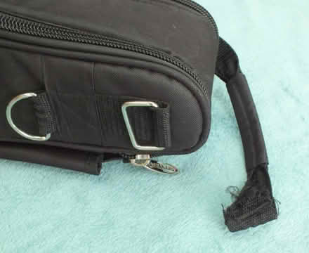 Photo of free Alto Sax Gig Bag Backpack - Ritter (Thetford IP24) #1