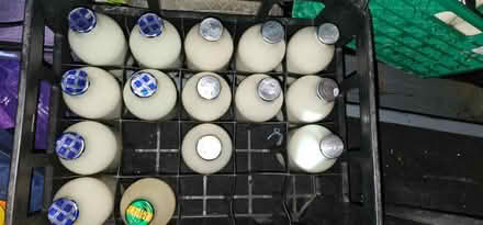 Photo of free Milk In Glass Bottles (Upholland WN8) #1