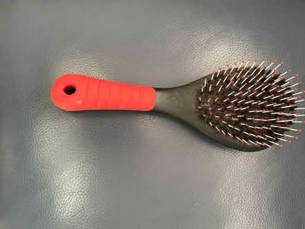 Photo of free Dog brush (Baldock SG7) #1