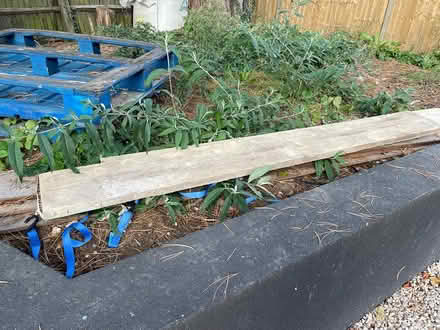 Photo of free Scaffold boards (Ashtead KT21) #1
