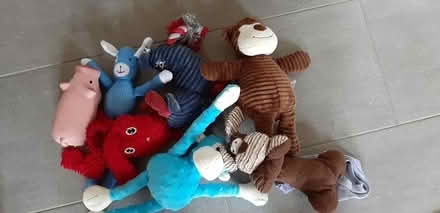 Photo of free Selection of dog toys (Matlock DE4) #1