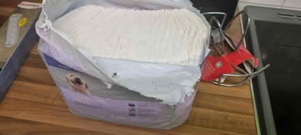 Photo of free Puppy training pads (AL7) #1