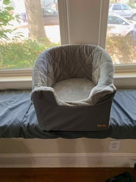 Photo of free Puppy booster seat (West Cambridge) #1