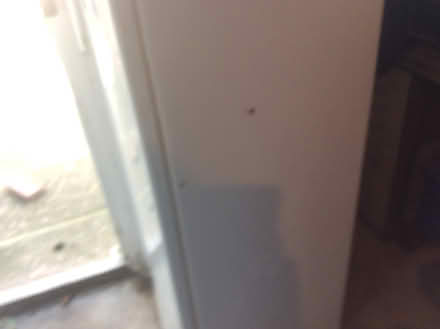 Photo of free Proline Upright Freezer (Peldon CO5) #1