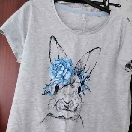 Photo of free pr ladies blue/grey rabbit pyjamas (Marton Bank FY3) #2