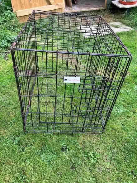 Photo of free Dog travel cage (Maresfield Park TN22) #1