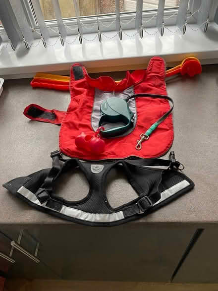 Photo of free Pet dog items (M32 area Stretford) #1