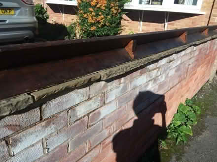 Photo of free Plate rack (Aslockton NG13) #1