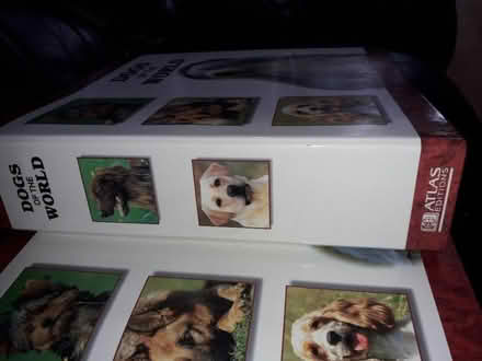 Photo of free Dogs of the world - Atlas Editions (Popley RG24) #2