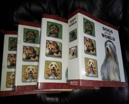 Photo of free Dogs of the world - Atlas Editions (Popley RG24) #1