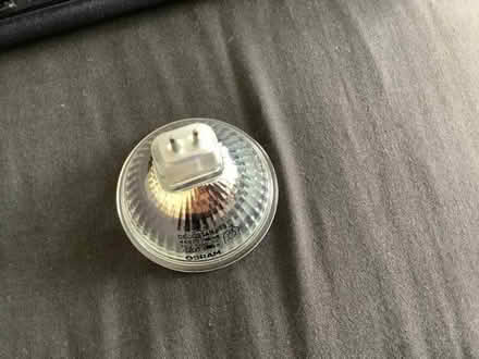Photo of free Halogen? light bulb with 2- pin fitting. (Eastbourne BN21) #1