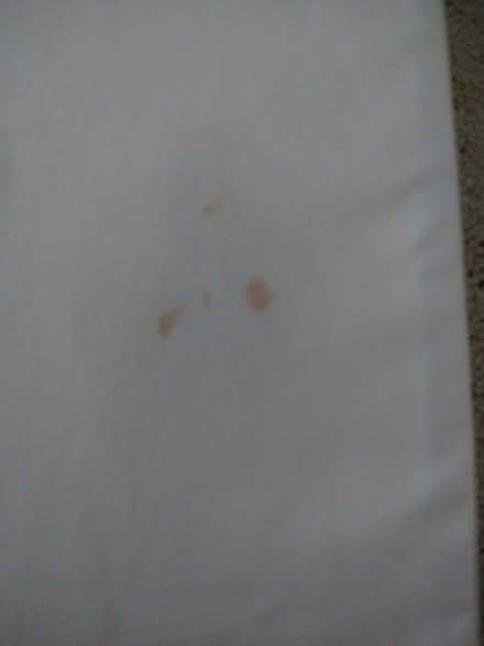 Photo of free Mattress topper (Tyersal, BD4) #2