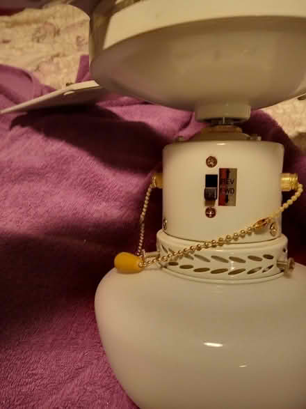 Photo of free Ceiling fan with light (Southbourne) #3