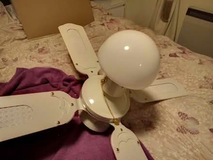 Photo of free Ceiling fan with light (Southbourne) #1