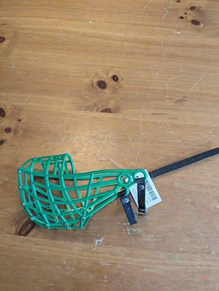 Photo of free Dog's muzzle (Barnehurst DA7) #1
