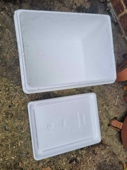 Photo of free Polystyrene lidded boxes (Hanworth TW13) #1