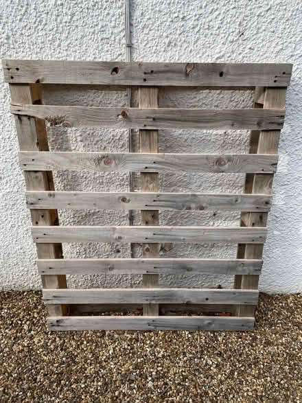Photo of free Pallet 100x120 cm (Wymondham NR18) #1