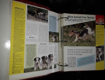 Photo of free Dogs of the world - Atlas Editions (Popley RG24) #4