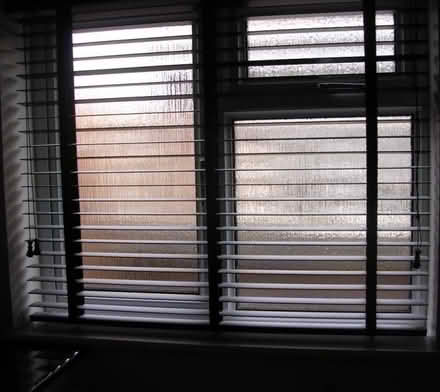 Photo of free Black wooden slatted venetian blind (Hauxton CB22) #2