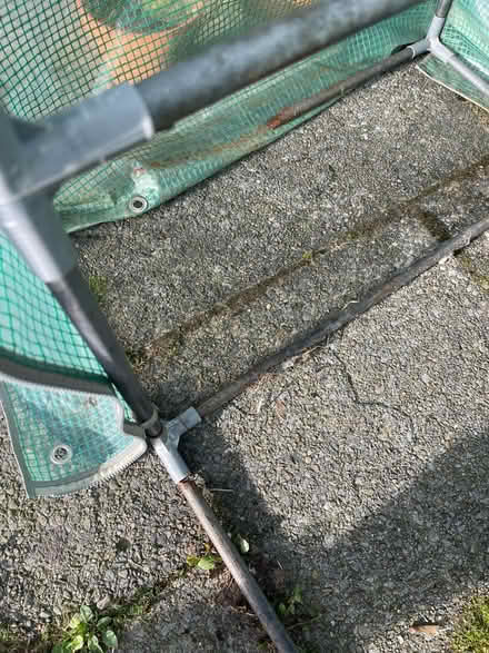 Photo of free Plastic greenhouse (Windermere) #4