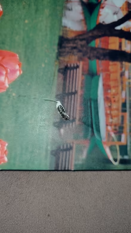 Photo of free Boston Public Garden book (Springfield) #3