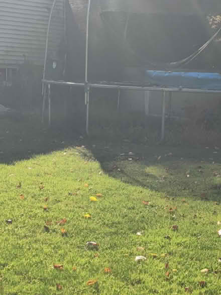 Photo of free Trampoline (Hawthorne)