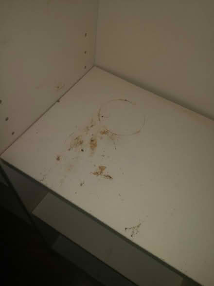 Photo of free White shelving units (Oxford OX1) #2
