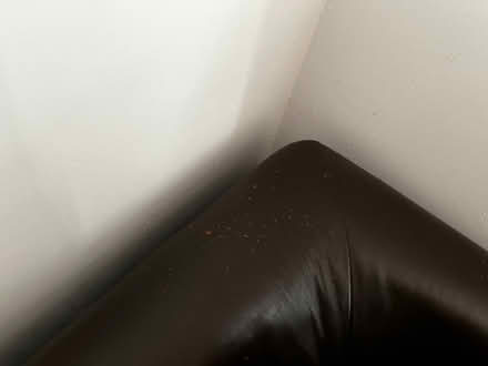 Photo of free Brown corner suite (LE16) #3