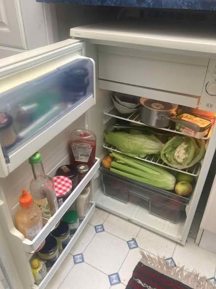 Photo of free Slimline fridge w 50 h 80 d 48 (PL1) #2