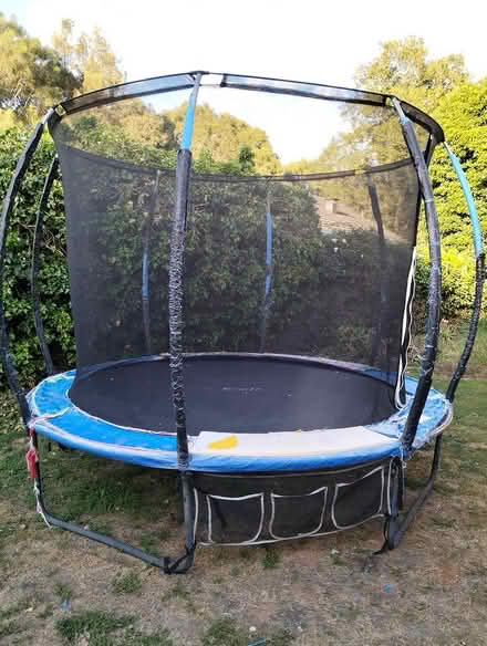 Photo of free Trampoline (Rostrevor) #1