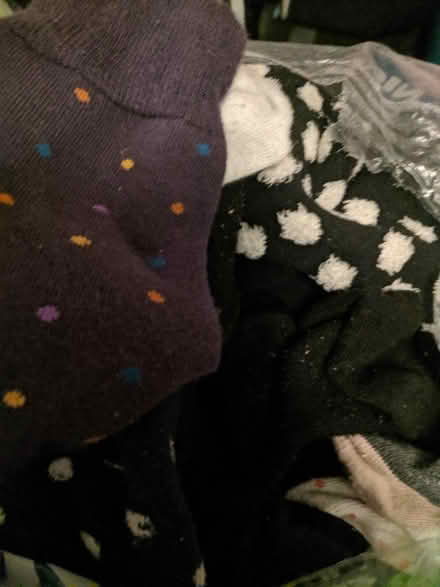 Photo of free Single socks (Fleetwood FY7) #1