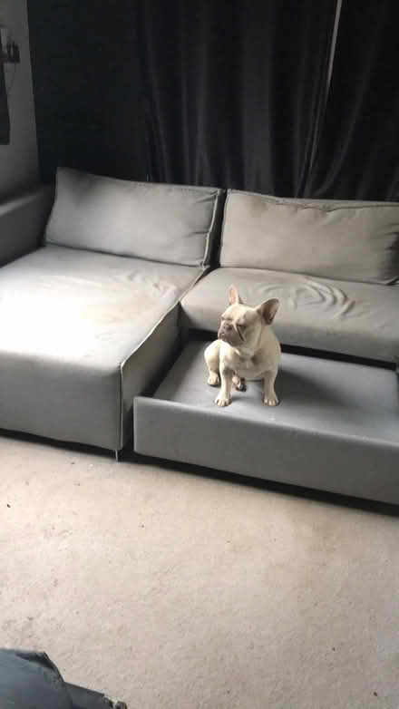 Photo of free Sofa bed (Manea PE15) #1