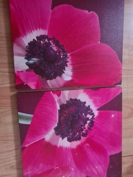 Photo of free 2 Canvas pictures (RM9 Upney/Becontree) #1