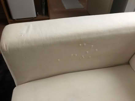 Photo of free Compact sofa (Clermiston EH4) #3