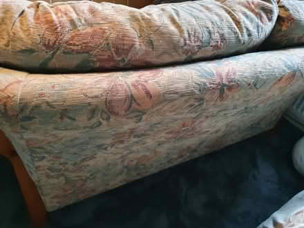 Photo of free sofa (Lindale LA11) #3