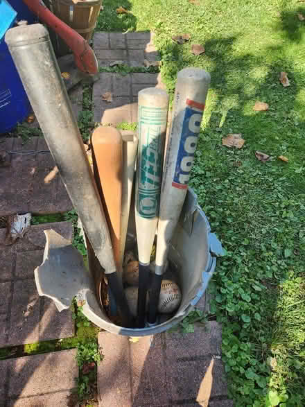 Photo of free bats and balls (Manville) #1