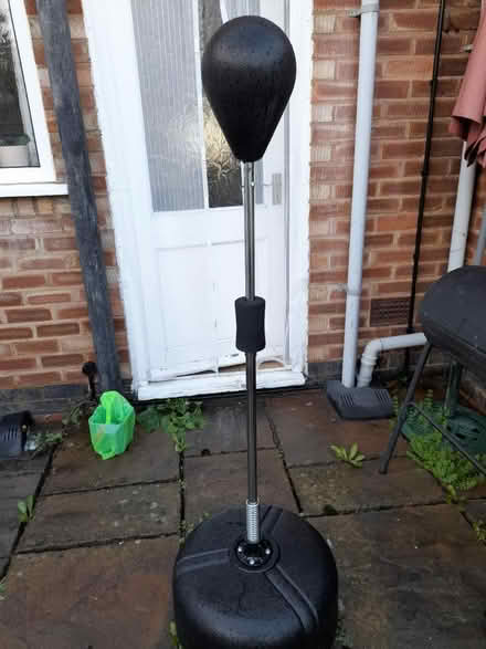 Photo of free Punch ball (CV8) #1