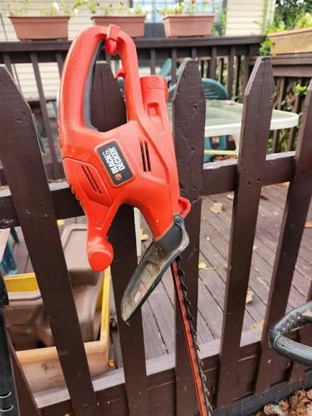 Photo of free tree branch trimmer (Manville) #1