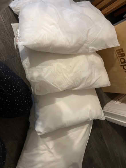 Photo of free Cotton square cushions (B66 Smethwick) #1