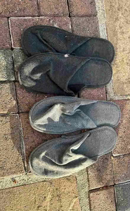 Photo of free Slippers (Bromley BR2) #1
