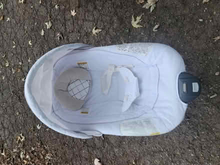 Photo of free Baby bouncer (Belleville Sumpter township) #1