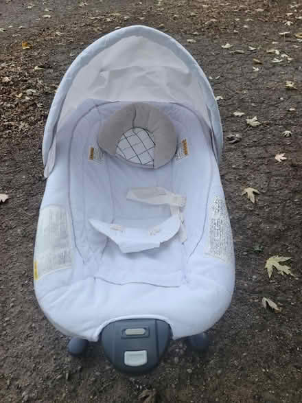 Photo of free Baby bouncer (Belleville Sumpter township) #2