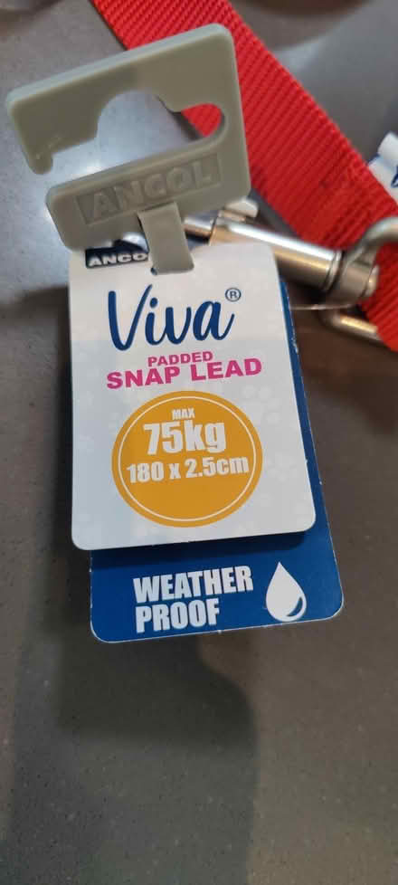 Photo of free Brand new dog lead (Addiscombe CR0) #1