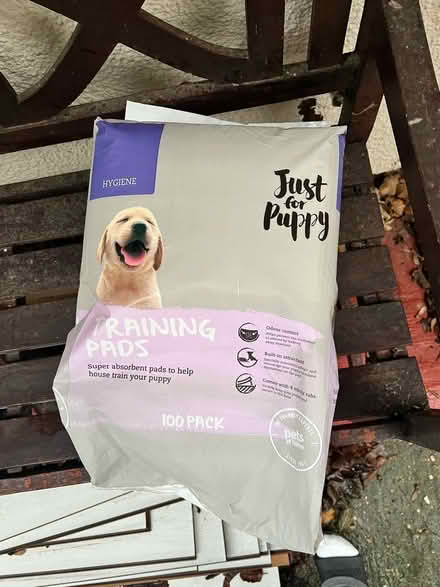 Photo of free Puppy training pads (Linton, Cambridgeshire) #1