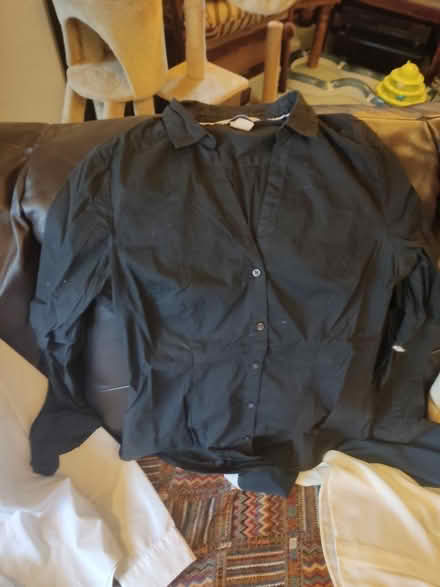Photo of free Women's shirts size small (EH20 Loanhead) #3